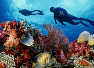 Điểm du lịch Hòn Mun Nha Trang có gì?