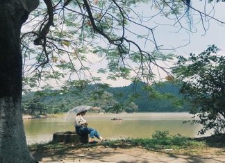 Khám phá vẻ đẹp hoang sơ tuyệt mỹ của hồ Quan Sơn Khám phá vẻ đẹp hoang sơ tuyệt mỹ của hồ Quan Sơn