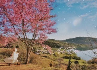 Kinh nghiệm đi du lịch Đà Lạt nên chọn những loại đồ gì?