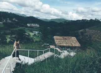 The Wilder Nest Đà Lạt – Quán cà phê mang đậm phong cách châu Âu