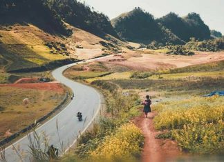 Chia sẻ kinh nghiệm du lịch Mộc Châu mùa thu đầy đủ và chi tiết nhất Chia sẻ kinh nghiệm du lịch Mộc Châu mùa thu đầy đủ và chi tiết nhất