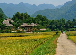 Tham khảo kinh nghiệm du lịch Mai Châu mùa thu cực hữu ích Tham khảo kinh nghiệm du lịch Mai Châu mùa thu cực hữu ích