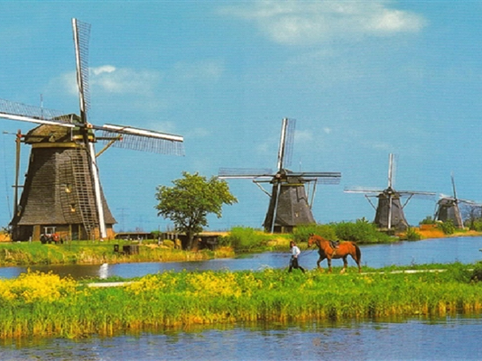 Tham khảo kinh nghiệm du lịch Hà Lan mùa thu ăn chơi thả ga