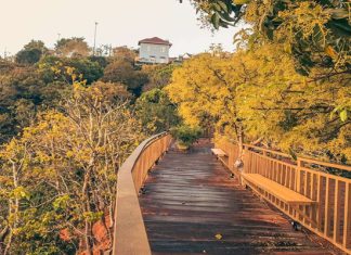 Tổng hợp những tọa độ du lịch Đà Lạt hot nhất 2022 Tổng hợp những tọa độ du lịch Đà Lạt hot nhất 2022