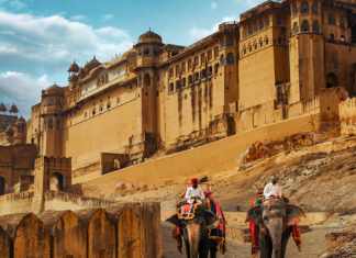 Trọn bộ kinh nghiệm du lịch Ấn Độ tự túc đi đâu chơi, ăn gì ngon? Trọn bộ kinh nghiệm du lịch Ấn Độ tự túc đi đâu chơi, ăn gì ngon?